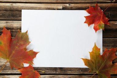 Sonbahar yaprakları ile beyaz sayfa