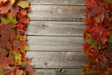 sonbahar yaprakları çerçevesi