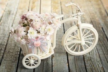 Bisiklet içinde güzel krizantem