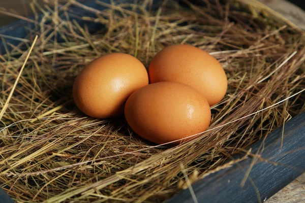 Три яйца в соломе — стоковое фото