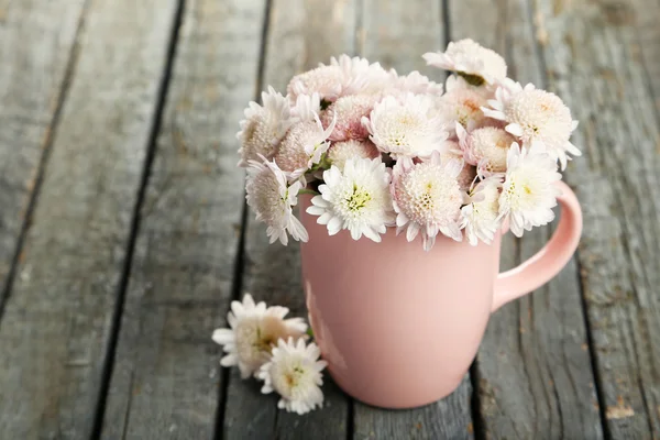 Красивые хризантемы в чашке — стоковое фото