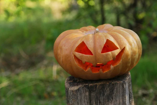 Halloween pumpa i trä — Stockfoto