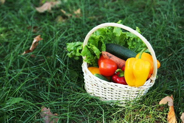 Verduras frescas en cesta —  Fotos de Stock