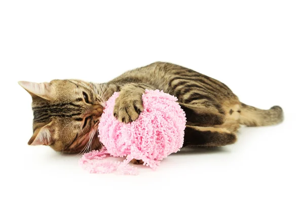 Katze spielt mit Garnknäuel — Stockfoto