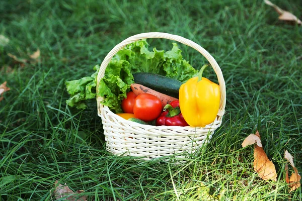 Verduras frescas en cesta —  Fotos de Stock
