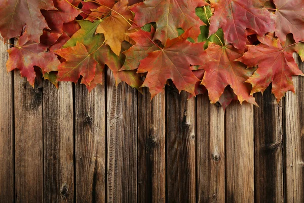 Herbstblätter umrahmen — Stockfoto
