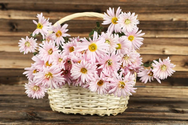Lilac chrysanthemums in basket — Stock Photo, Image