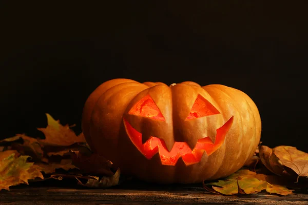 Halloween pumpa på nära håll — Stockfoto