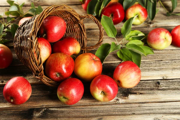 Red apples in basket — Stock Photo, Image