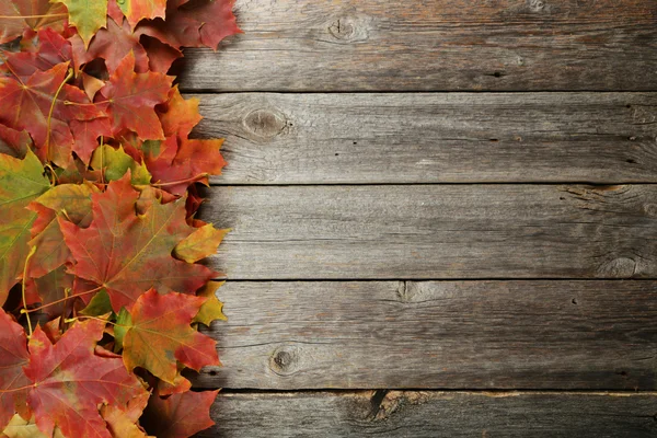 Herfst bladeren frame — Stockfoto