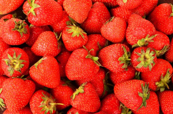 Süße reife Erdbeeren — Stockfoto