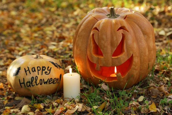 Calabazas de Halloween con vela — Foto de Stock