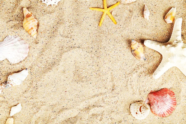 Sjöstjärnor och skal på en sand — Stockfoto