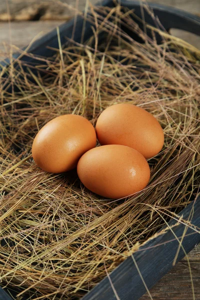 Três ovos em palha — Fotografia de Stock