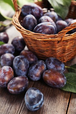 sepet içinde taze Erik