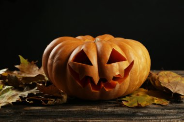 Cadılar Bayramı Balkabağı yakın çekim