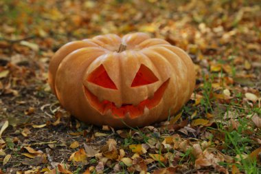 Cadılar Bayramı Balkabağı yaprakları