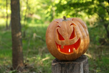 Cadılar Bayramı Balkabağı ahşap