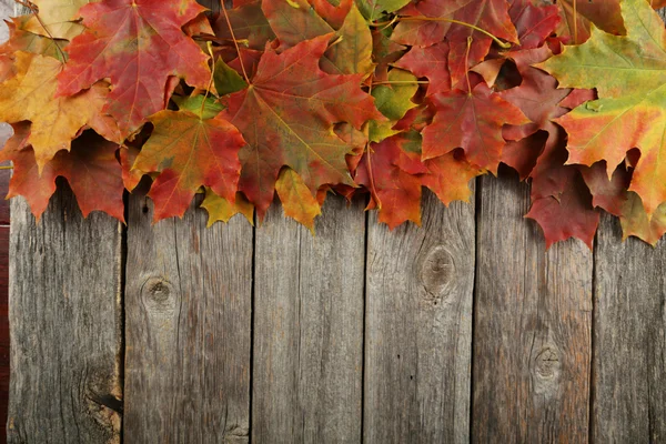 Outono folhas quadro — Fotografia de Stock