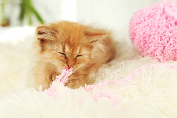 Redhead kitten playing — Stock Photo, Image