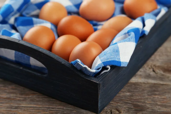 Куриные яйца в лотке — стоковое фото