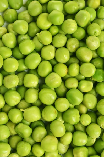 Pois verts de près — Photo