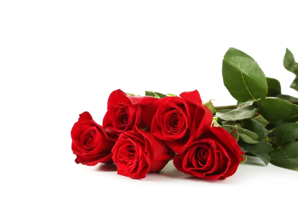 Пять свежих красных роз — стоковое фото
