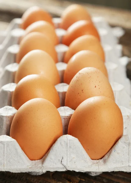 Свежие яйца в упаковке — стоковое фото