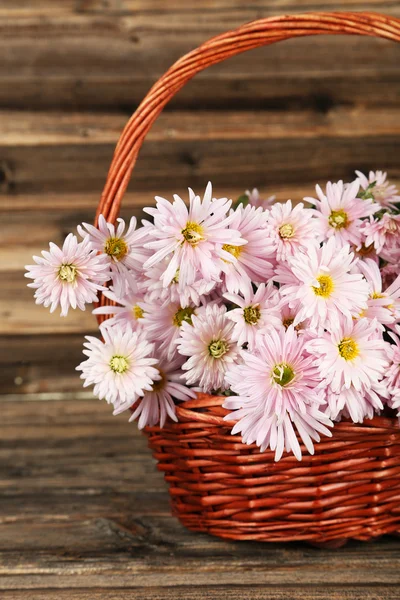 Crisantemos lila en cesta —  Fotos de Stock