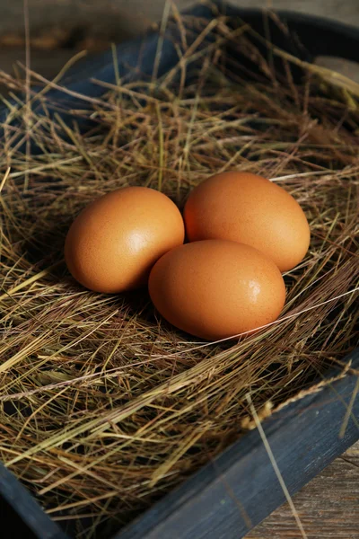 Três ovos em palha — Fotografia de Stock