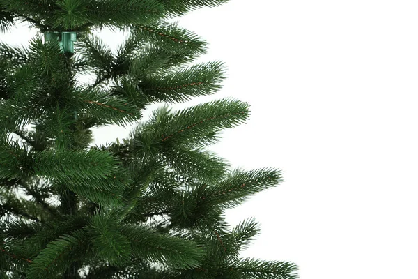 绿色圣诞树 — 图库照片