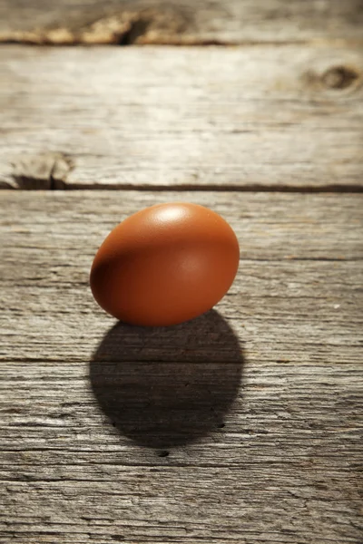 Un œuf de poulet — Photo
