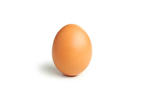 One chicken egg — Stock Photo, Image