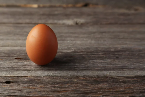 One chicken egg — Stock Photo, Image