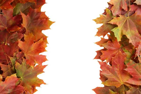Jesienne liście ramki — Zdjęcie stockowe