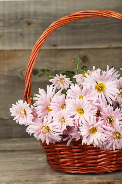 Lilac chrysanthemums in basket — Stock Photo, Image