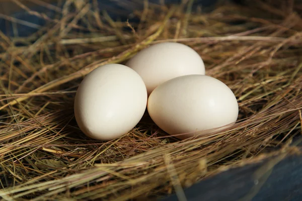 White eggs in straw Royalty Free Stock Photos