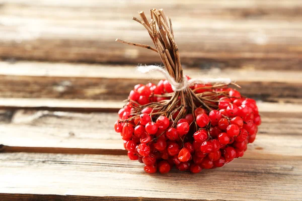 Rotes Viburnum — Stockfoto