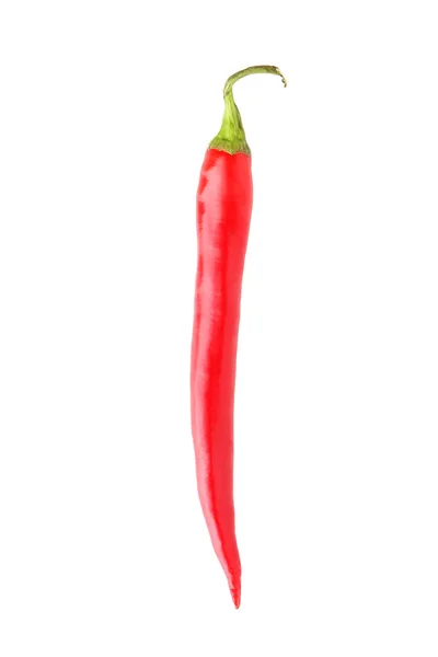 Red chili pepper — Stock Photo, Image