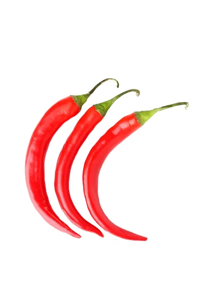 Červené chilli papričky — Stock fotografie