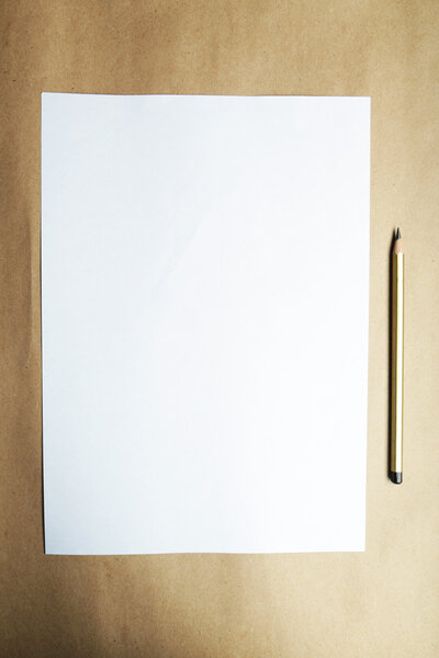 Sheet of blank paper and a pencil