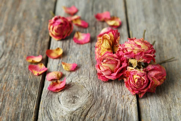 Suszonych róż — Zdjęcie stockowe