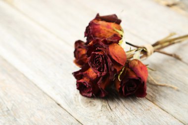 kurutulmuş kırmızı gül