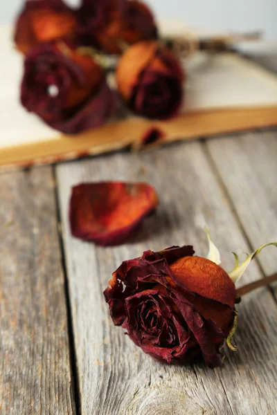 Gedroogde rozen op open boek — Stockfoto