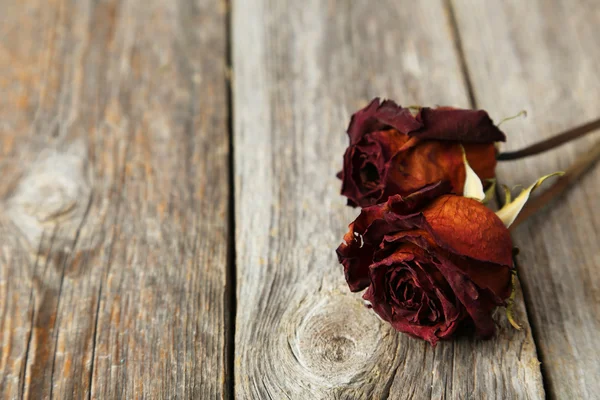 Сушеные красные розы — стоковое фото