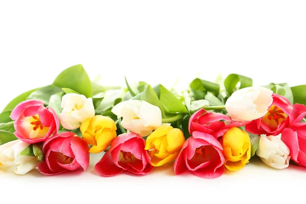Bei tulipani colorati — Foto Stock