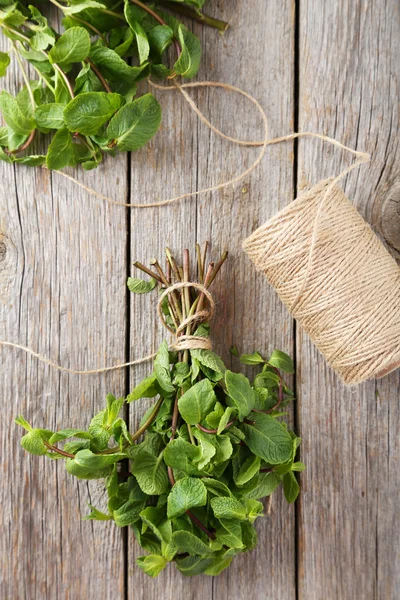 Menta fresca sobre fondo de madera gris — Foto de Stock