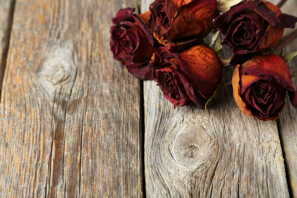 Sušené červené růže — Stock fotografie