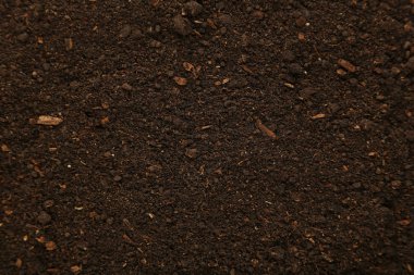 Soil organic background