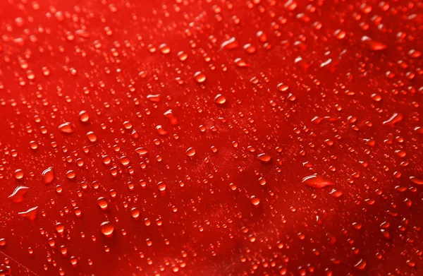 Gotas de agua sobre fondo rojo —  Fotos de Stock